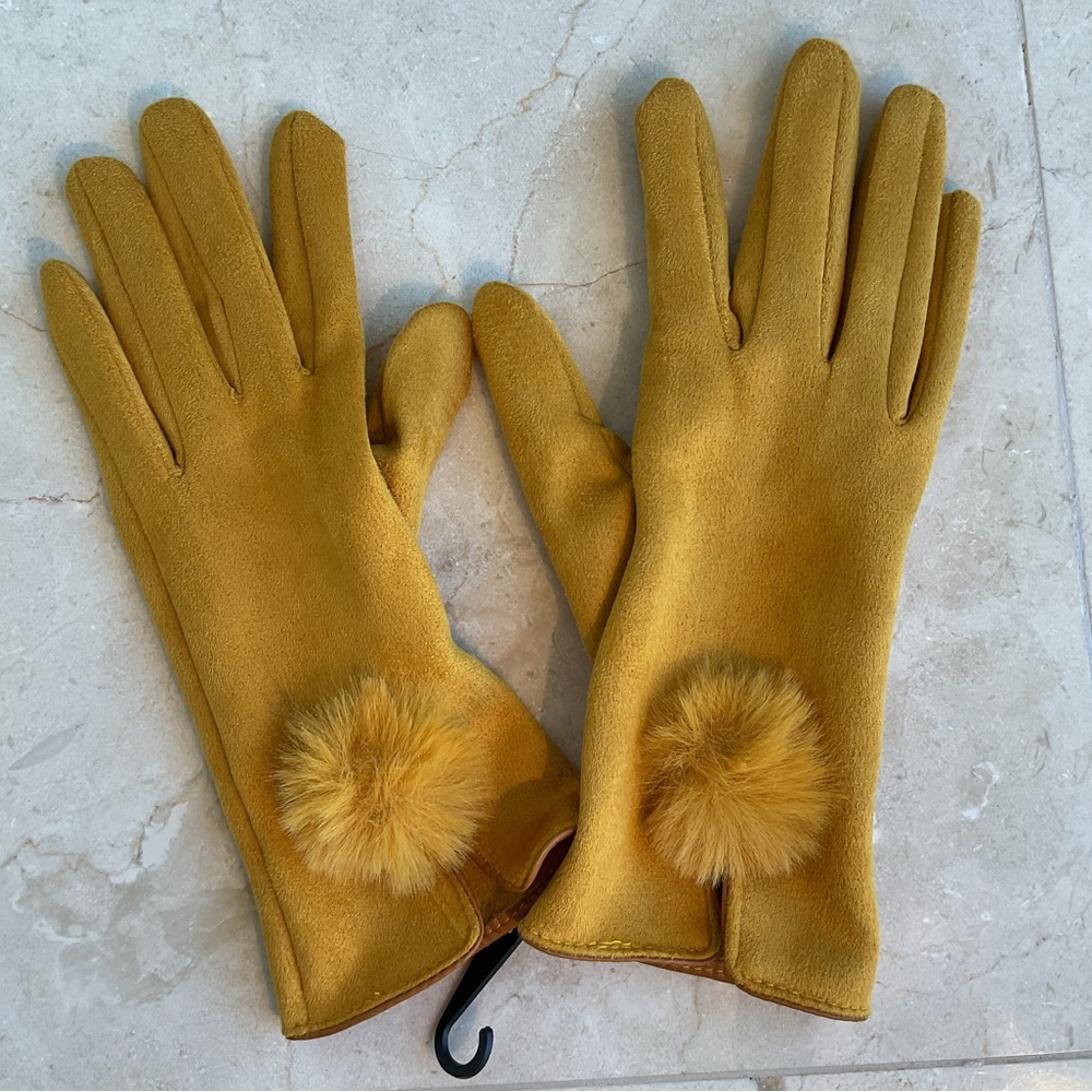 NWOT women’s Pom-Pom gloves
